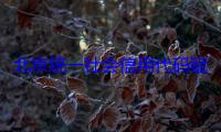 北京统一社会信用代码赋码总量达362万家